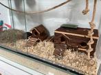 Groot terrarium met toebehoren, Dieren en Toebehoren, Ophalen, Gebruikt, Overige typen