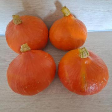 Pompoenen, Enlèvement ou Envoi