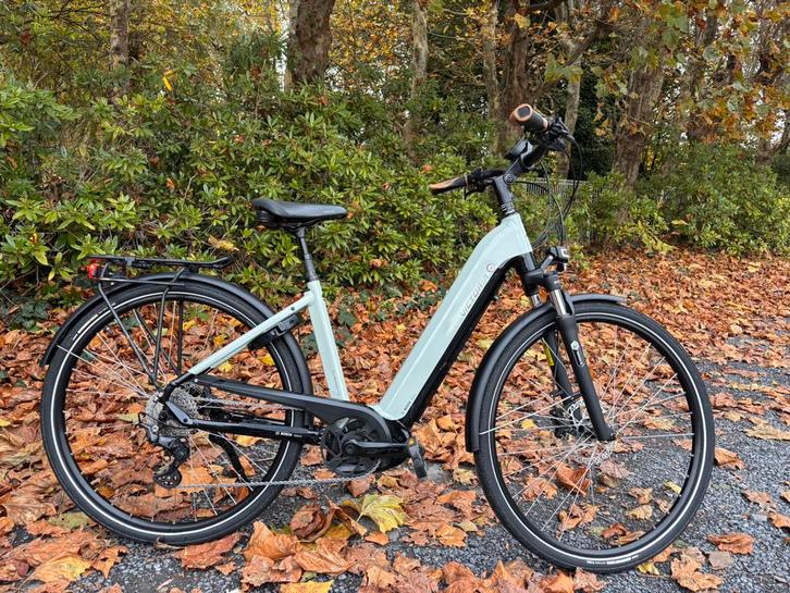 Victoria E-Trekking 12.9, Fietsen en Brommers, Elektrische fietsen, Gebruikt, 47 tot 51 cm, 50 km per accu of meer, Ophalen