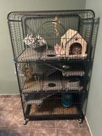 Cage chinchilla, Animaux & Accessoires, Enlèvement, Comme neuf, Cage, Chinchilla
