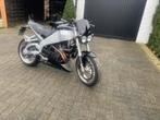 Buell VB9S, Motos, Motos | Buell, Naked bike, 995 cm³, 2 cylindres, Entreprise
