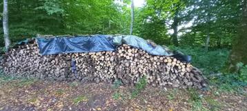 Bois de chauffage  beschikbaar voor biedingen
