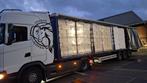 Houtkrullen medium grof, Dieren en Toebehoren