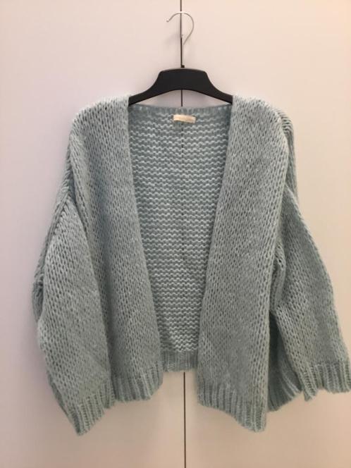 Lichtblauwe bernadette Terra di Siena TU (één maat), Kleding | Dames, Truien en Vesten, Gedragen, Blauw, Ophalen of Verzenden