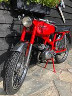 Rieju Confort Gerestaureerd Oldtimer Brommer Spaans, Vélos & Vélomoteurs, Cyclomoteurs | Oldtimers & Ancêtres, Autres marques