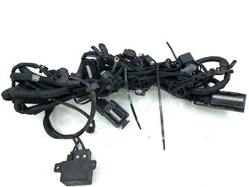 KABELBOOM BMW F 800 GS 2008-2012 (F800GS 08) beschikbaar voor biedingen