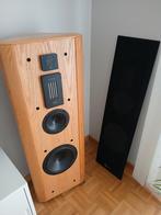 Infinity : Renaissance 90, Audio, Tv en Foto, Luidsprekerboxen, Ophalen