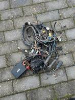 Suzuki ts125 tsx125 kabelboom met cdi, Ophalen, Gebruikt