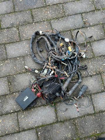 Suzuki ts125 tsx125 kabelboom met cdi beschikbaar voor biedingen