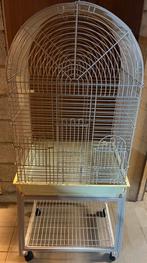 Cage pour perroquet / perruche, Enlèvement, Utilisé, Métal, Cage à oiseaux
