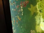 Aquarium  met  vissen merk juwel. Vissen kunnen apart  weg, Dieren en Toebehoren
