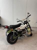 Suzuki rv50, Particulier
