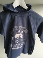 Petit Filou hoodie, Enfants & Bébés, Vêtements enfant | Taille 92, Comme neuf, Pull ou Veste, Garçon, Enlèvement ou Envoi