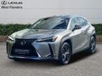 Lexus UX 250h Business Line+cam+nav+sens V&A, Automaat, Overige kleuren, Overige brandstoffen, 184 pk