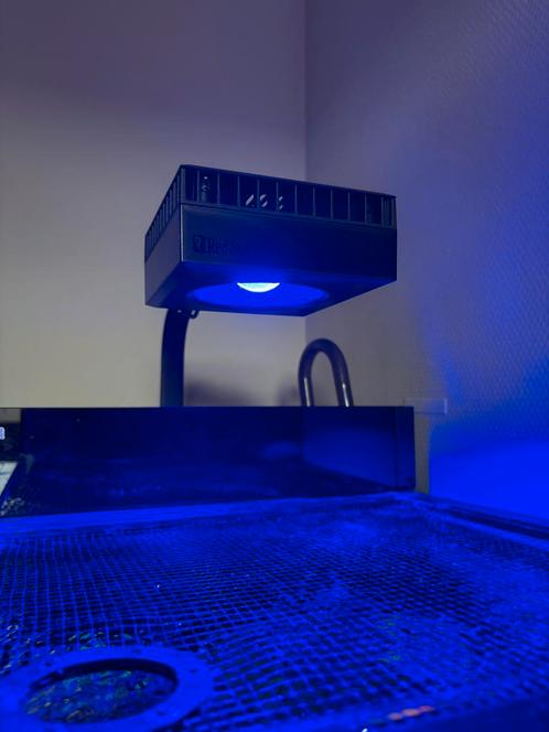 Red sea Reef led 50, Dieren en Toebehoren, Vissen | Aquaria en Toebehoren, Nieuw, Verlichting of Verwarming, Ophalen of Verzenden
