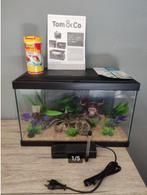 aquarium 20L (neuf) complet +filtre + tt les accessoires, Ophalen of Verzenden, Nieuw, Leeg aquarium