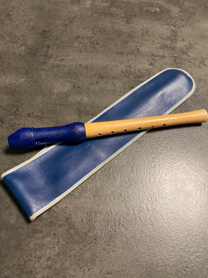 Enregistreur, Musique & Instruments, Instruments à vent | Flûtes à bec, Comme neuf, Enlèvement ou Envoi