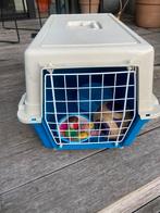 Transportbox voor katten, Dieren en Toebehoren, Ophalen, Gebruikt