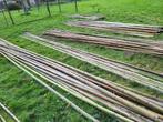 Bamboe stokken te koop, Ophalen of Verzenden