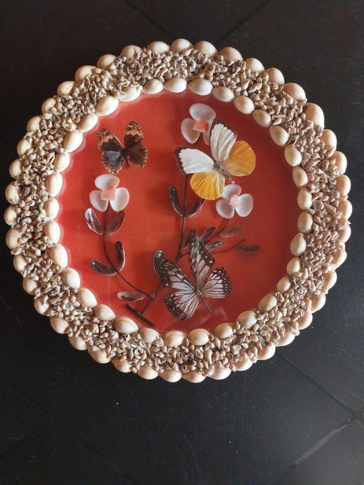 Echte vlinders in ronde kader afgewerkt met schelpen, Huis en Inrichting, Woonaccessoires | Wanddecoraties, Zo goed als nieuw