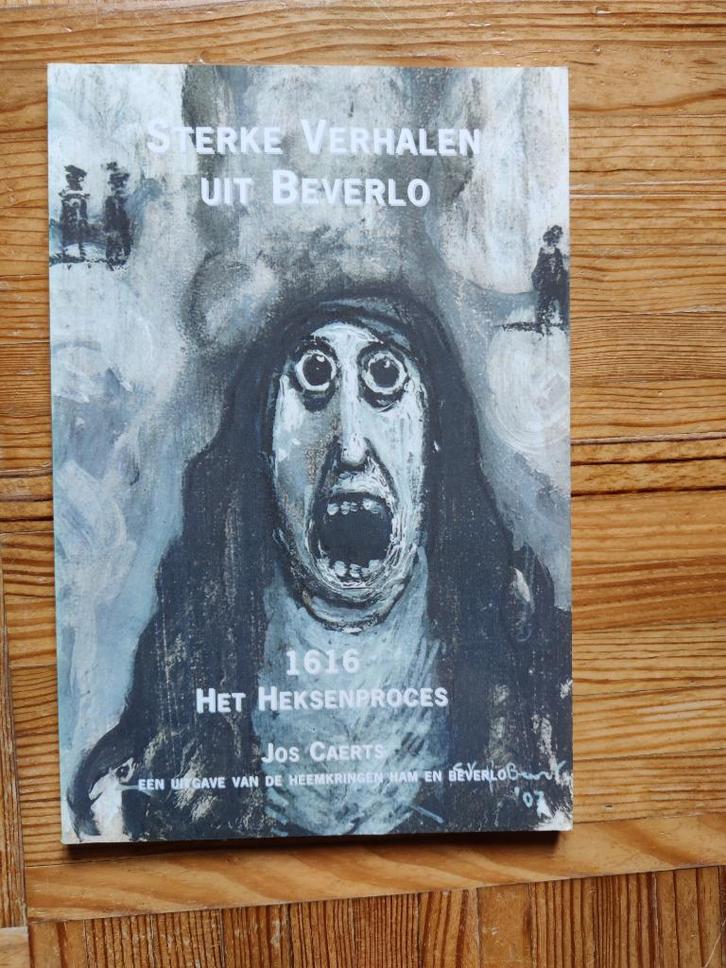 Sterke verhalen uit Beverlo, Boeken, Geschiedenis | Nationaal, Gelezen, Ophalen of Verzenden