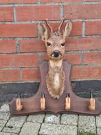 Antieke kapstok met opgezette hertenkop, Enlèvement