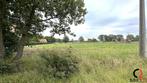 Grond te koop in Balen, 1000 tot 1500 m²