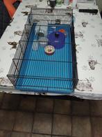 Cage hamster & accessoires, Moins de 60 cm, Cage, Utilisé, Hamster