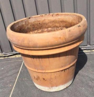 Italiaanse terracotta bloempot - D : 34,5 cm beschikbaar voor biedingen