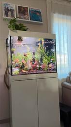 Juwel lido 200, Dieren en Toebehoren, Ophalen, Gebruikt