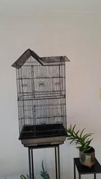 Vogelkooi met 2 grasparkieten, Dieren en Toebehoren, Vogels | Parkieten en Papegaaien
