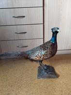 Taxidermie fazant, Ophalen