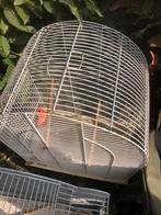 Vogelhuisje, Dieren en Toebehoren, Ophalen, Zo goed als nieuw