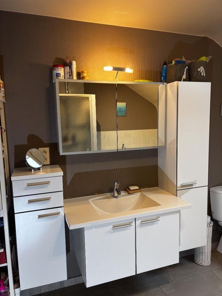 Volledige badkamer: Lavabo Bubbelbad Douche WC Radiator, Doe-het-zelf en Bouw, Sanitair, Gebruikt, Douche, Ophalen