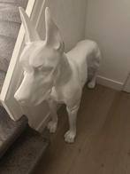 Grote hond Deense dog, Verzamelen, Beelden en Beeldjes, Ophalen, Gebruikt, Dier