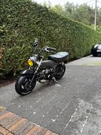 Dax b klasse, Fietsen en Brommers, Brommers | Overige merken, Ophalen, Gebruikt, Skyteam, 49 cc