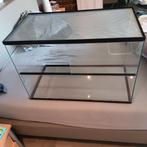 Grote, Glazen terrarium voor hamster ., Dieren en Toebehoren, Knaagdieren en Konijnen | Hokken en Kooien, Ophalen of Verzenden