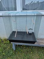 Vogelkooi, Ophalen, Zo goed als nieuw, Metaal, Vogelkooi