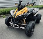 Can am Renegade 800Xxc L7e, 2 cylindres