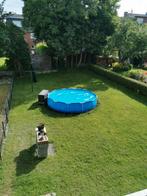 À vendre piscine, Tuin en Terras, Zwembaden, Ophalen, Gebruikt, 80 tot 120 cm, Rond