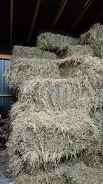 Mooi groen hooi 2e snee 2025, Ophalen