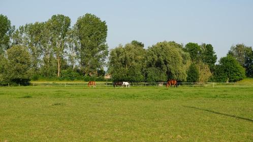 Écurie / prairie chevaux, Dieren en Toebehoren, Stalling en Weidegang, Stalling, Weidegang, 2 of 3 paarden of pony's