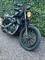 Harley davidson 883 iron 2010, Motoren, Motoren | Harley-Davidson, Chopper, Particulier