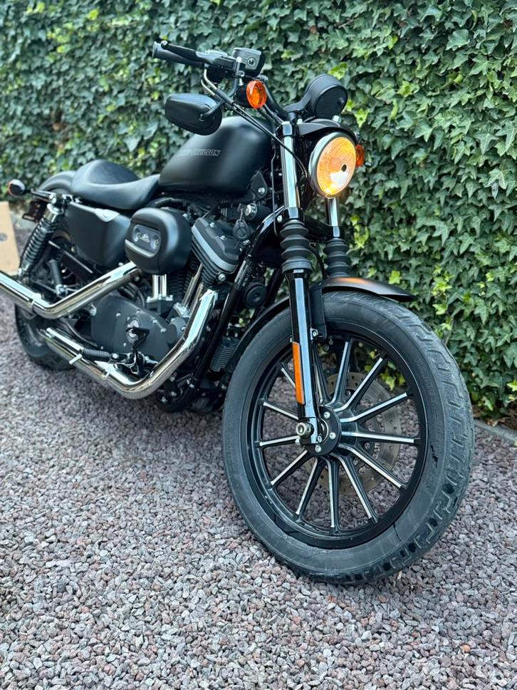 Harley davidson 883 iron 2010, Motoren, Motoren | Harley-Davidson, Particulier, Chopper, Ophalen