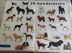 het mooiste hondenboek+bekende hondenrassen+de hond, Boeken, Ophalen of Verzenden, Honden