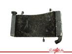 RADIATEUR EAU Ducati ST 2 1997-2003 (ST2) (01-1997/12-2003), Utilisé