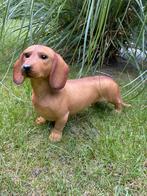 Image : teckel, teckel, chien, jardin, pelouse 40 cm, Enlèvement ou Envoi, Neuf, Synthétique, Animal