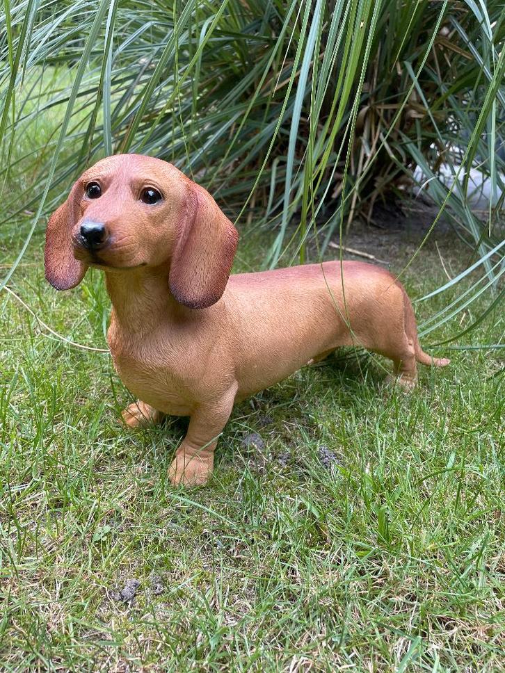 Image : teckel, teckel, chien, jardin, pelouse 40 cm, Jardin & Terrasse, Statues de jardin, Neuf, Animal, Synthétique, Enlèvement ou Envoi