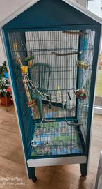 Grande volière avec le lot
