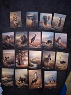 Kaarten Afrika, Verzenden